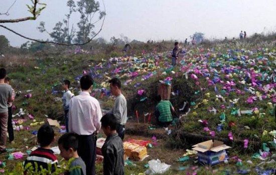 �Ϸ���õ�����ˮ�� ���ݱر�����󹩹�(�����ǵ���)