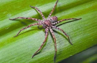 �׶�߽����ж��� ϰ�Ե�С�����ϰ׶�߽���῿����˯������