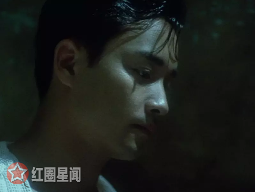 无脚鸟的寓言出自王家卫的哪部影片 精神寄托:无脚鸟的寓意是什么