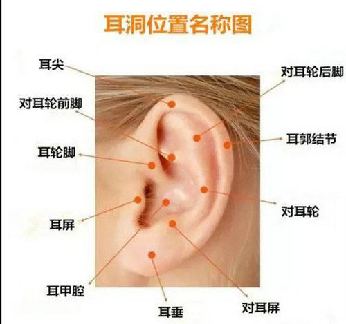 ��������ע������ ������ࣺ���������ȷλ��ͼƬ