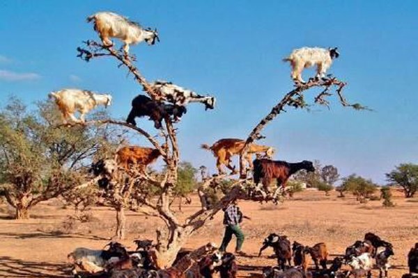 ����������ô���淨ͼƬ ������Ѷ�ϵ���ܸ�