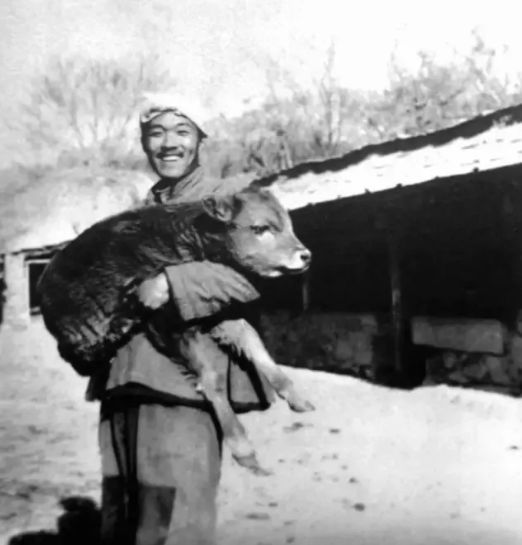 ʷ����Ϊʲô��ʧȥ˫�� û������ʷ����̱���������������Ҿ����